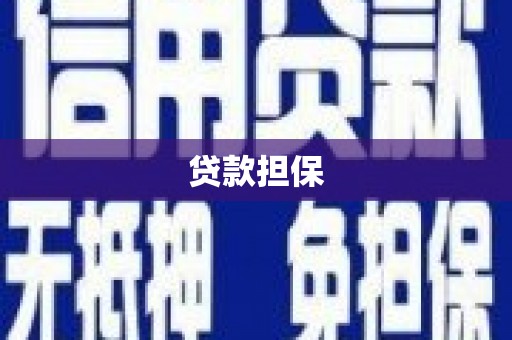 乌恰贷款担保