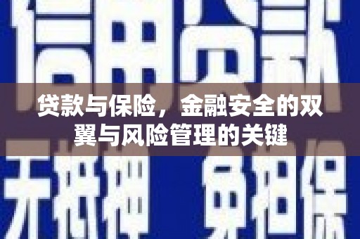 乌恰贷款与保险，金融安全的双翼与风险管理的关键