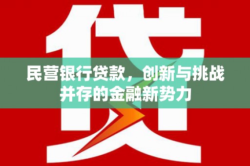 乌恰民营银行贷款，创新与挑战并存的金融新势力
