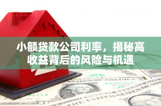 乌恰小额贷款公司利率，揭秘高收益背后的风险与机遇