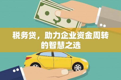 乌恰税务贷，助力企业资金周转的智慧之选