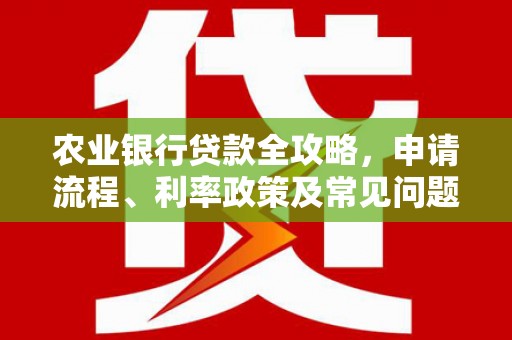 乌恰农业银行贷款全攻略，申请流程、利率政策及常见问题解析