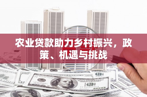 乌恰农业贷款助力乡村振兴，政策、机遇与挑战