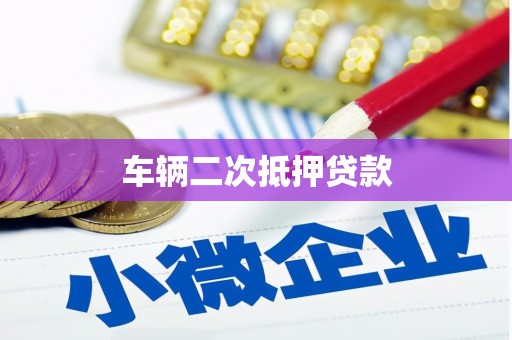 乌恰车辆二次抵押贷款