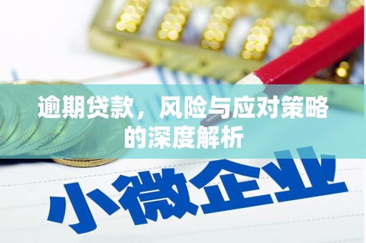 乌恰逾期贷款，风险与应对策略的深度解析