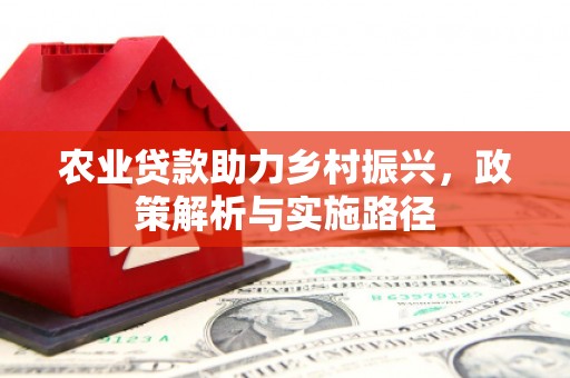 乌恰农业贷款助力乡村振兴，政策解析与实施路径