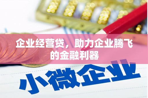 乌恰企业经营贷，助力企业腾飞的金融利器