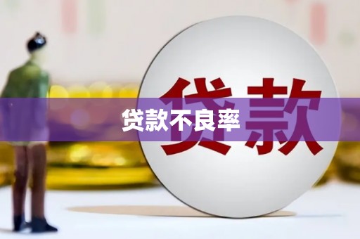 乌恰贷款不良率