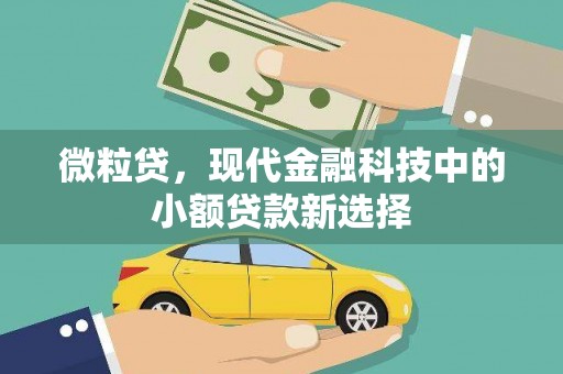 乌恰微粒贷，现代金融科技中的小额贷款新选择