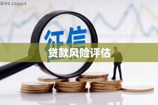 乌恰贷款风险评估