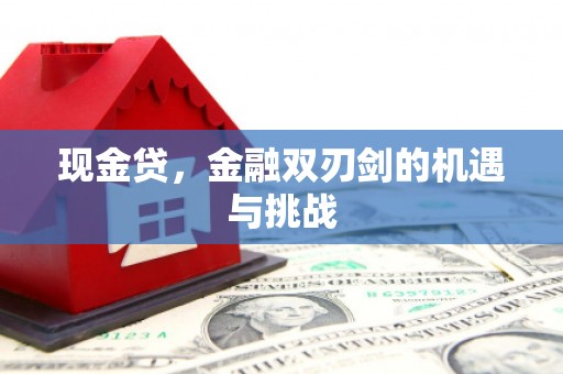 乌恰现金贷，金融双刃剑的机遇与挑战