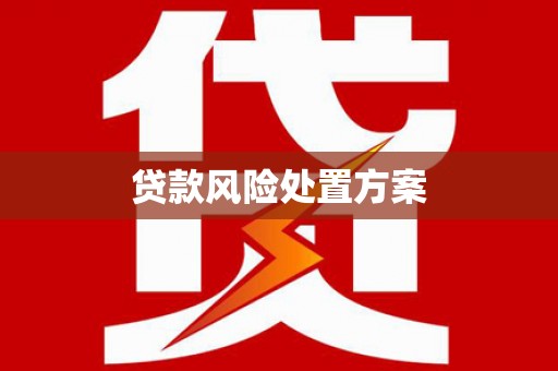 乌恰贷款风险处置方案