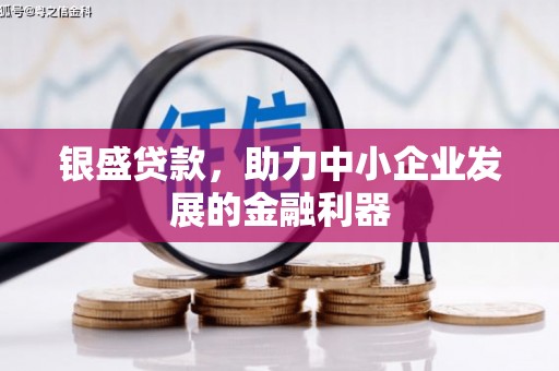 乌恰银盛贷款，助力中小企业发展的金融利器