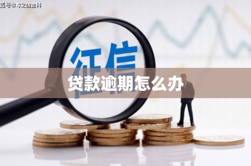 乌恰贷款逾期怎么办