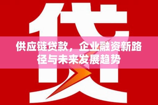 乌恰供应链贷款，企业融资新路径与未来发展趋势