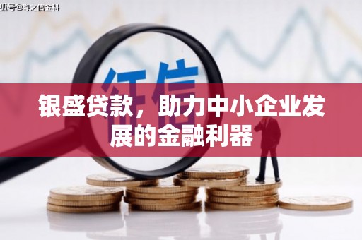 乌恰银盛贷款，助力中小企业发展的金融利器