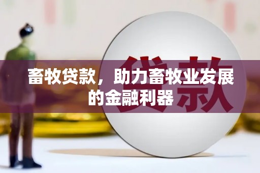 乌恰畜牧贷款，助力畜牧业发展的金融利器