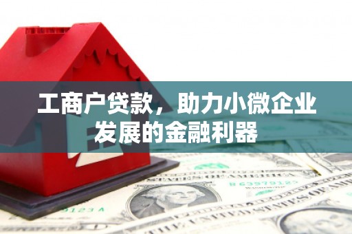 乌恰工商户贷款，助力小微企业发展的金融利器