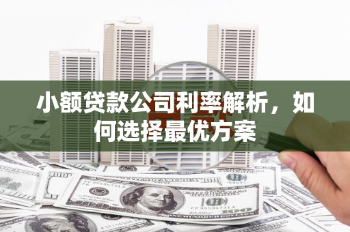 乌恰小额贷款公司利率解析，如何选择最优方案