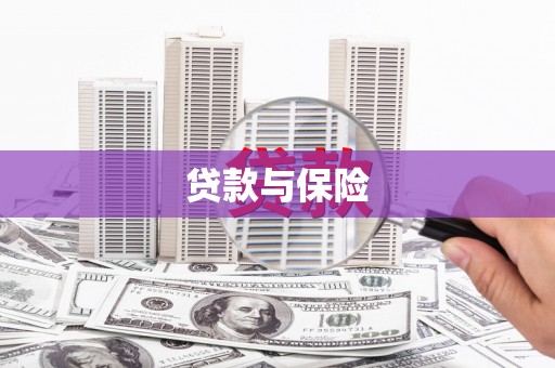 乌恰贷款与保险