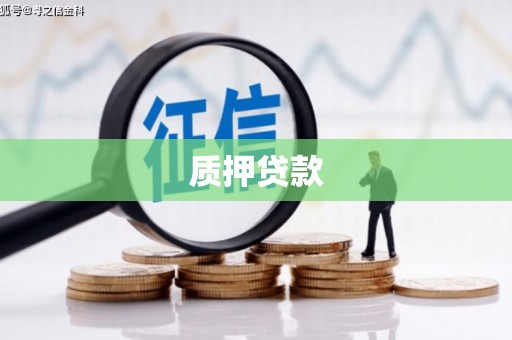 乌恰质押贷款