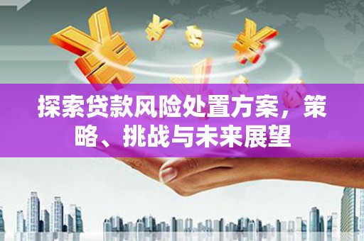 乌恰探索贷款风险处置方案，策略、挑战与未来展望