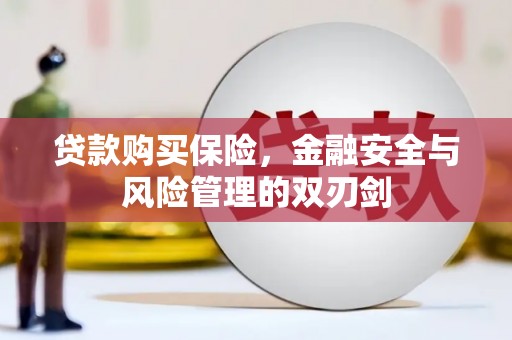 乌恰贷款购买保险，金融安全与风险管理的双刃剑