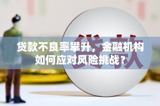 乌恰贷款不良率攀升，金融机构如何应对风险挑战？