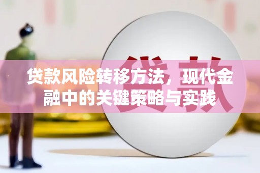 乌恰贷款风险转移方法，现代金融中的关键策略与实践