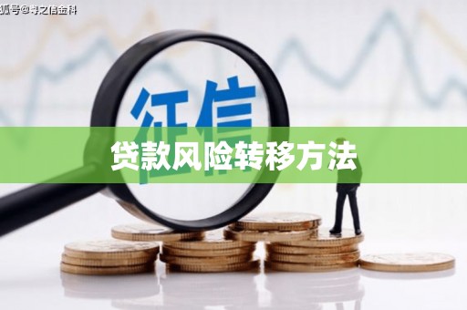 乌恰贷款风险转移方法