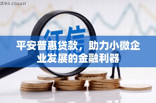 乌恰平安普惠贷款，助力小微企业发展的金融利器