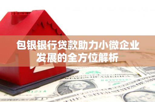 乌恰包银银行贷款助力小微企业发展的全方位解析