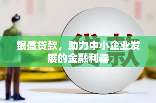 乌恰银盛贷款，助力中小企业发展的金融利器