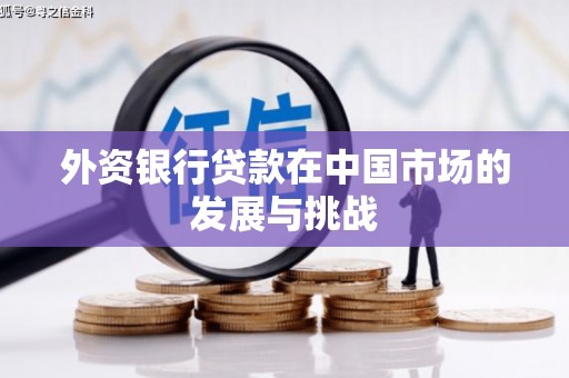 乌恰外资银行贷款在中国市场的发展与挑战
