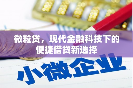 乌恰微粒贷，现代金融科技下的便捷借贷新选择