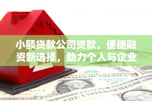 乌恰小额贷款公司贷款，便捷融资新选择，助力个人与企业成长