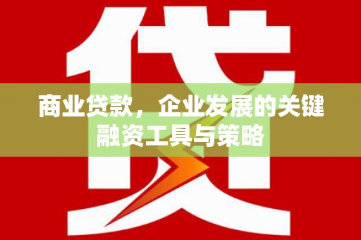 乌恰商业贷款，企业发展的关键融资工具与策略
