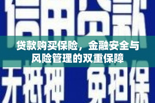 乌恰贷款购买保险，金融安全与风险管理的双重保障