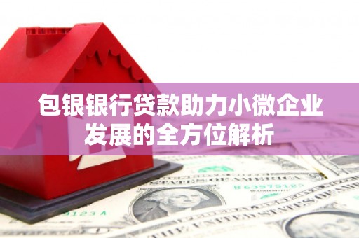 乌恰包银银行贷款助力小微企业发展的全方位解析