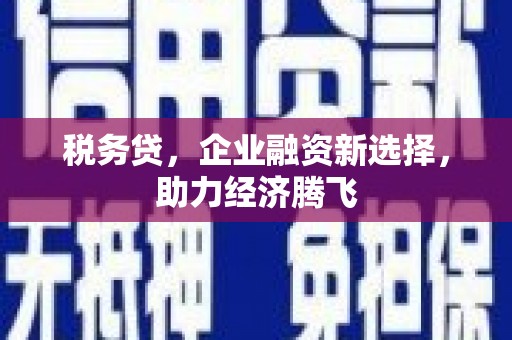 乌恰税务贷，企业融资新选择，助力经济腾飞