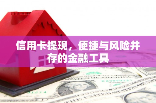 乌恰信用卡提现，便捷与风险并存的金融工具