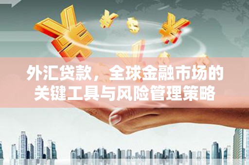 乌恰外汇贷款，全球金融市场的关键工具与风险管理策略