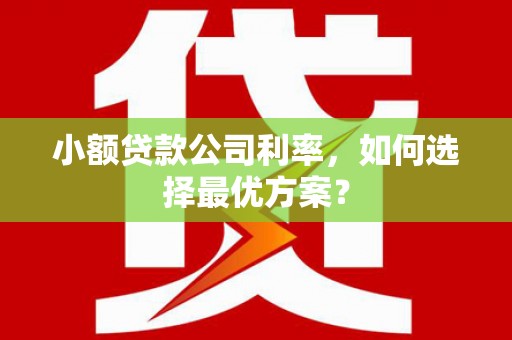 乌恰小额贷款公司利率，如何选择最优方案？