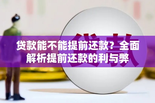 乌恰贷款能不能提前还款？全面解析提前还款的利与弊