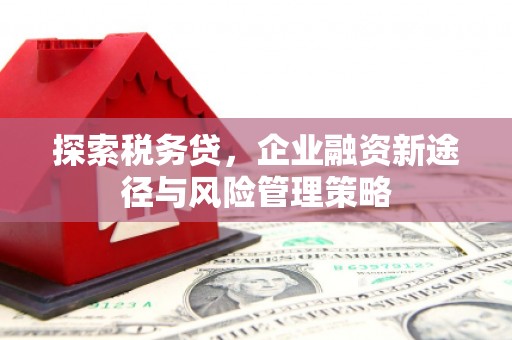 乌恰探索税务贷，企业融资新途径与风险管理策略