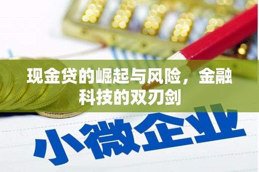 乌恰现金贷的崛起与风险，金融科技的双刃剑