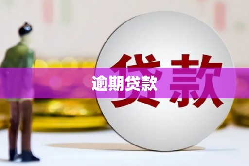 乌恰逾期贷款