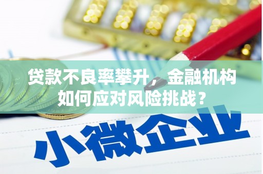 乌恰贷款不良率攀升，金融机构如何应对风险挑战？