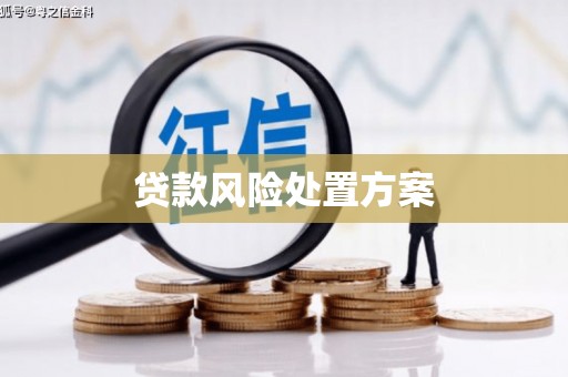 乌恰贷款风险处置方案