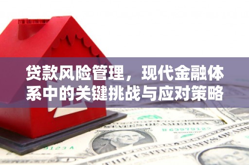 乌恰贷款风险管理，现代金融体系中的关键挑战与应对策略
